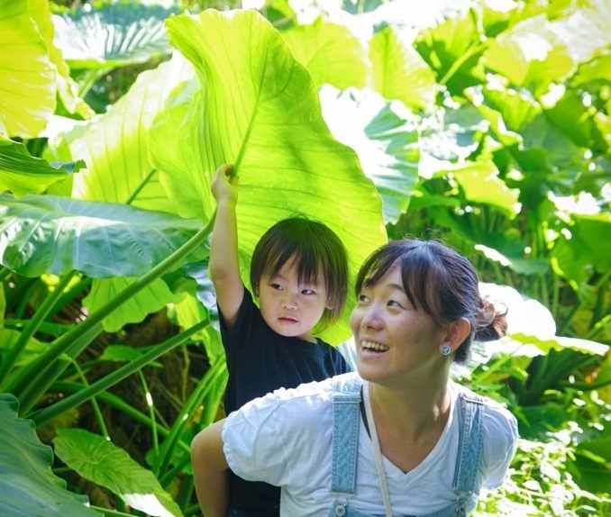 鹿児島県喜界町の親子が自然の中を散策している様子