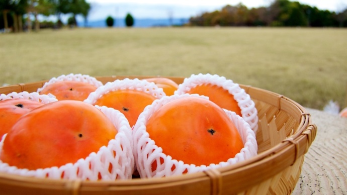 紀美野町産の柿