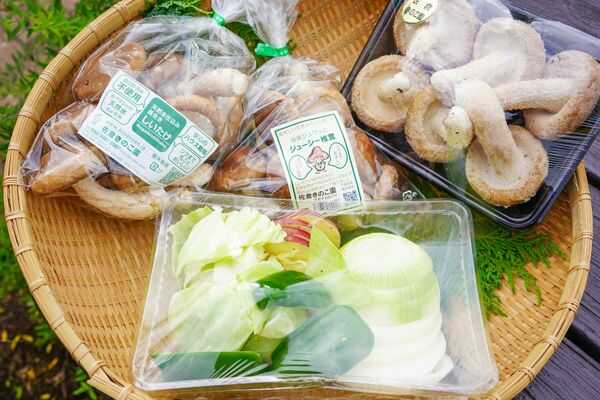 千葉県佐倉市にある「佐倉きのこ園」で購入できるきのこと野菜セット