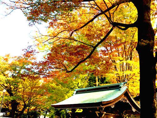 金峯神社の秋の境内