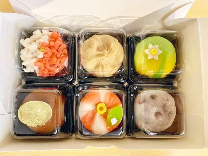 大阪・岸和田にある「岸和田 風月堂」に並ぶ新緑を思わせる生菓子