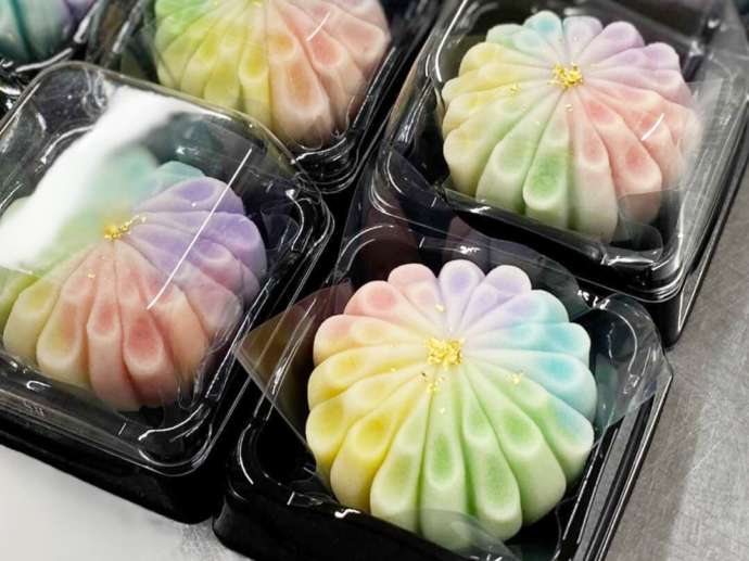 大阪・岸和田にある「岸和田 風月堂」に並ぶカラフルで美しい生菓子