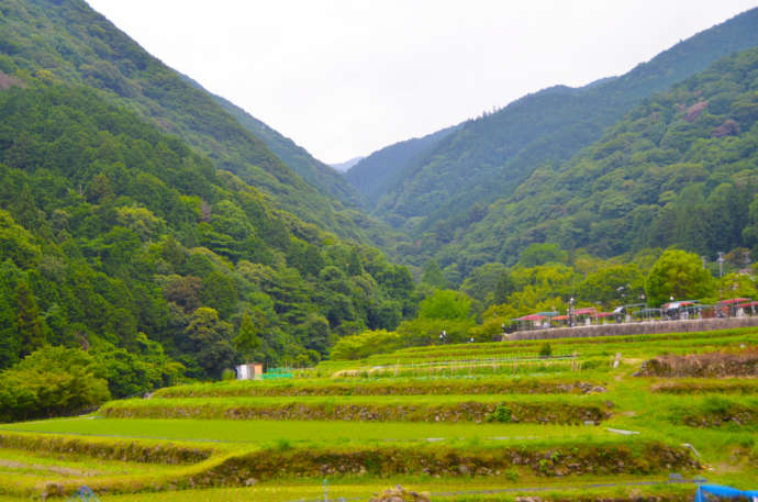 岸和田市の山々に囲まれた田園風景