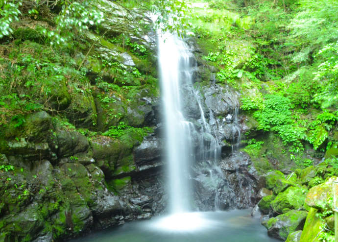 岸和田市にある「牛滝山」に流れる滝