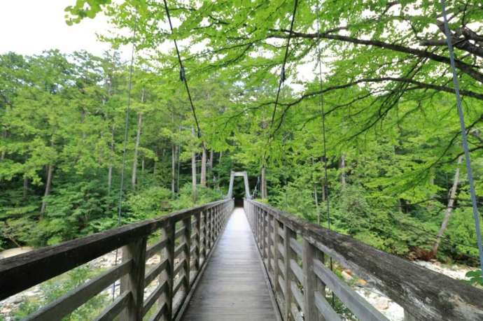 赤沢自然休養林内のつり橋