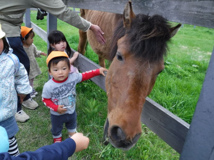 木曽町の木曽馬と触れ合う園児たち