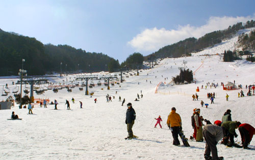 芸北のスキー場でたくさんの人がウィンタースポーツを楽しむ様子