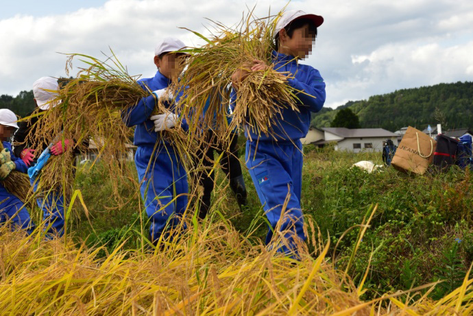 喜多方市の小学校の農業の授業で子供たちがわらを持っている様子