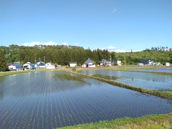 喜多方市の田んぼ風景