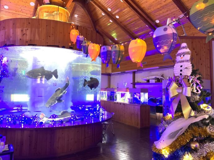 宮崎県小林市にある出の山淡水魚水族館の展示風景