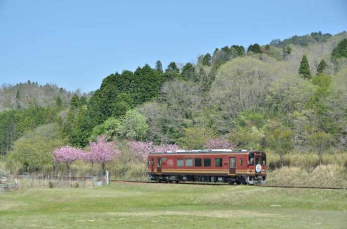 春の山間部を走る信楽高原鐵道の列車