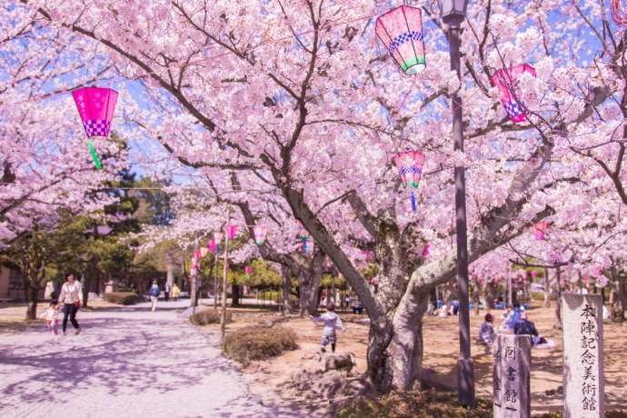 小松市の桜の名所「芦城公園」