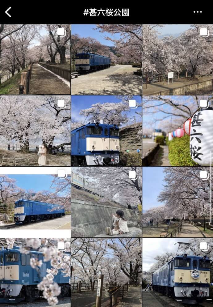 インスタグラムに掲載されている甚六桜公園の画像