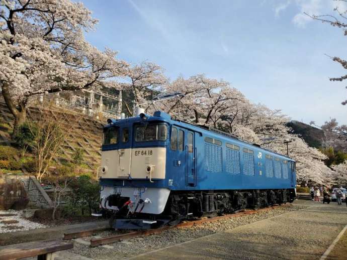 甚六桜公園にある電車「EF64-18」と満開の桜