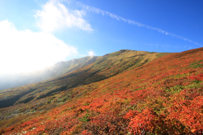 栗原市にある栗駒山の紅葉シーズンの景色