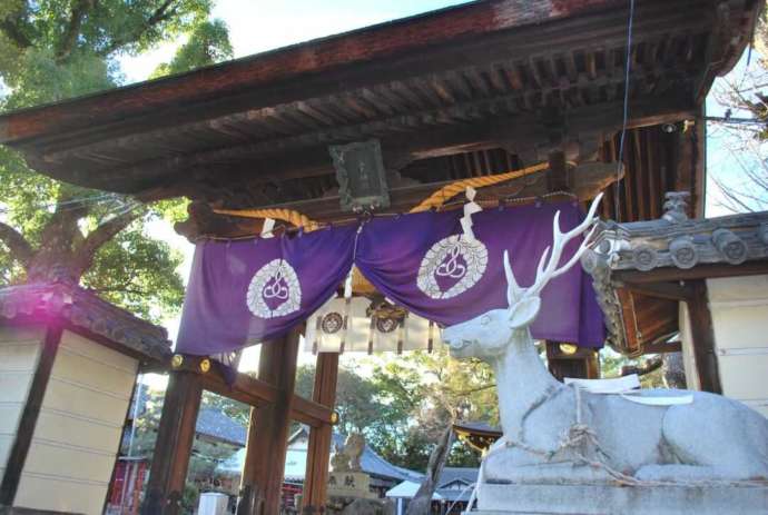 立木神社の門と白鹿