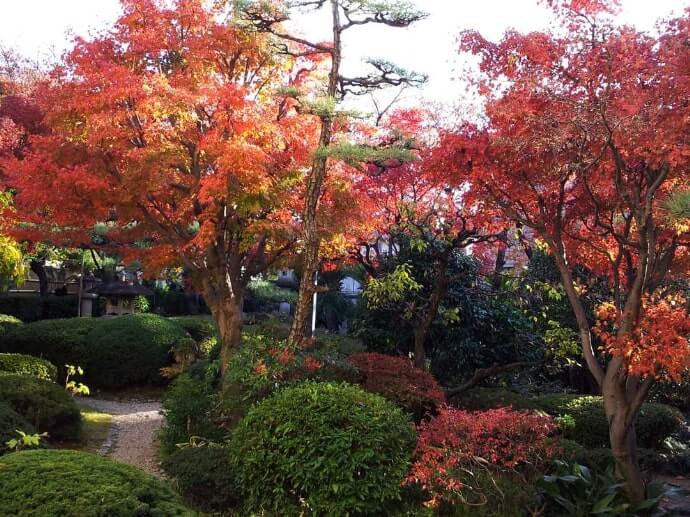 桑山美術館の庭園風景