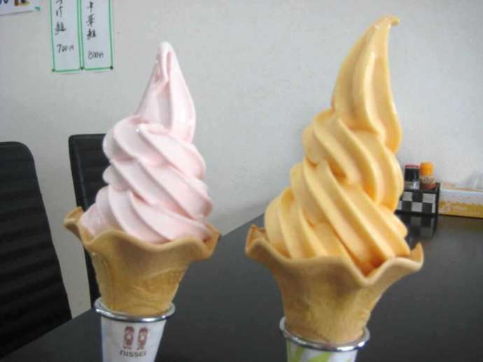 千葉県安房郡鋸南町の「道の駅 きょなん」でいただけるソフトクリーム