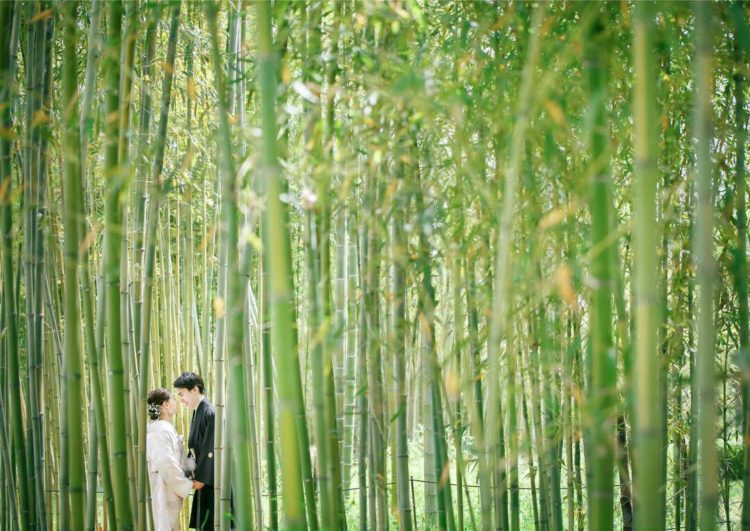京都好日のフォトウェディングで竹林で見つめ合うご夫婦