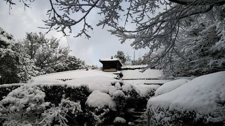 京都府左京区の詩仙堂丈山寺の冬の嘯月楼