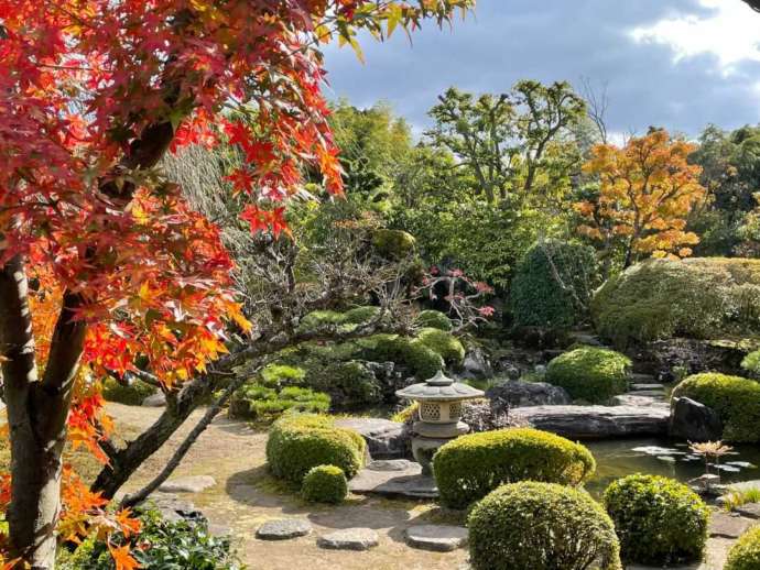 秋の紅葉と石庭