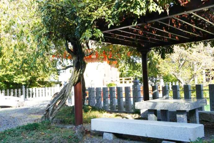 正法寺の遍照塔前の藤棚下に用意されたベンチ