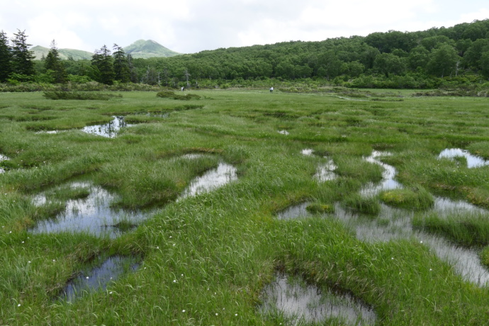 北海道共和町にある神仙沼の写真