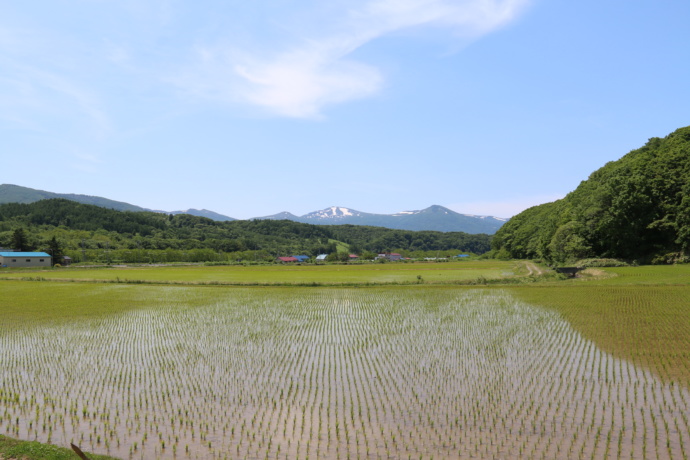 北海道共和町の田園写真
