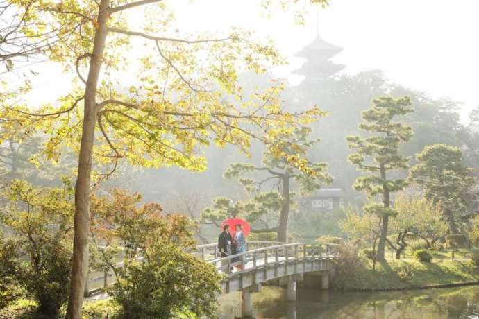 日本庭園内の池の橋の上に佇む和装の新郎新婦