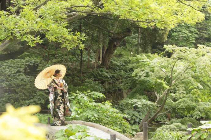 白い番傘をさして庭園内に佇む和装姿の花嫁