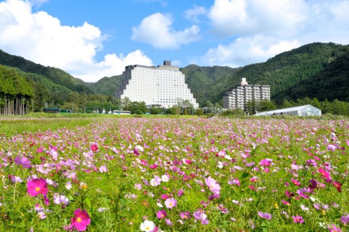 福島県にある「ホテルリステル猪苗代」の建物とたくさんのコスモス