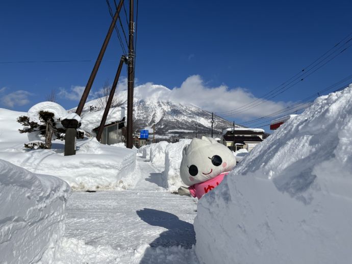 真狩村のゆるキャラ「ゆり姉さん」と雪景色