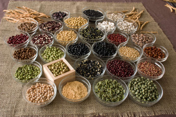 真室川町で作られている豆の保存食