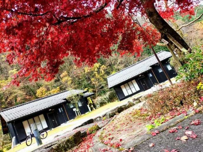 まるかりの里 久野川のコテージ周辺の紅葉風景