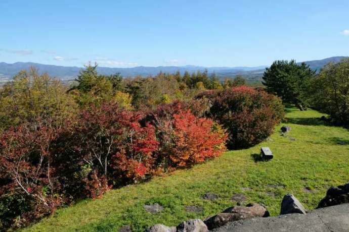 秋の円山展望台