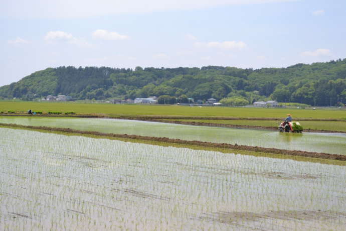 益子町で見られる田園風景