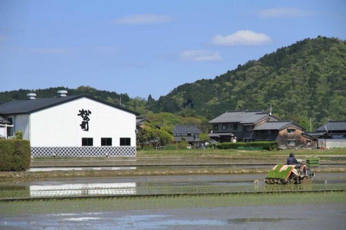 松瀬酒造の酒蔵と田んぼの風景