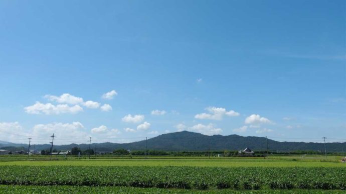 松瀬酒造周辺の竜王町の畑と田園風景