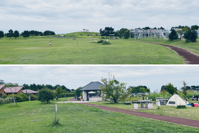 月見ヶ丘海浜公園　芝生広場（上）、キャンプ（下）