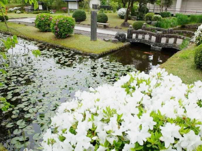 松山文化伝承館の庭園