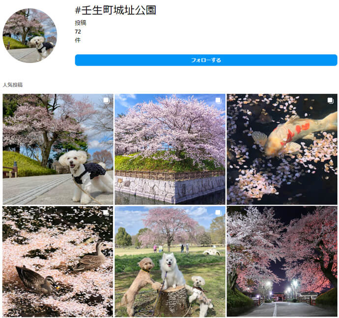 Instagramでハッシュタグの「壬生町城址公園」の検索結果
