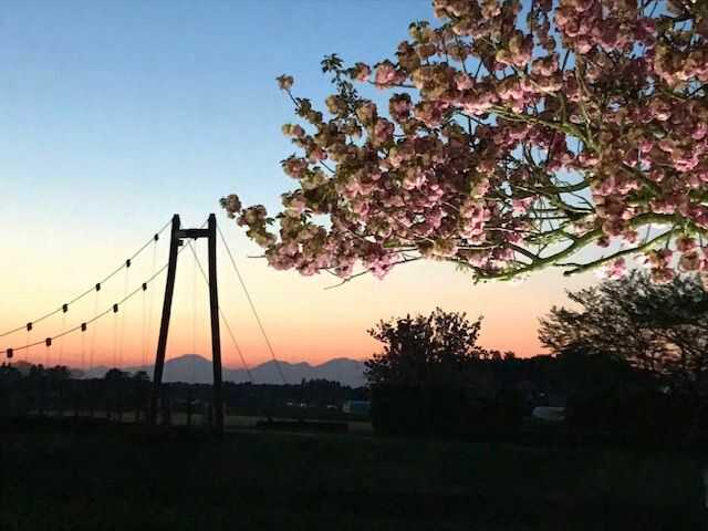 ロマン夢の吊り橋からの夕日