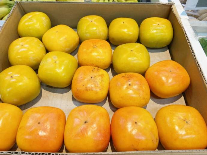 青森県弘前市にある「道の駅ひろさき サンフェスタいしかわ」で売られている柿
