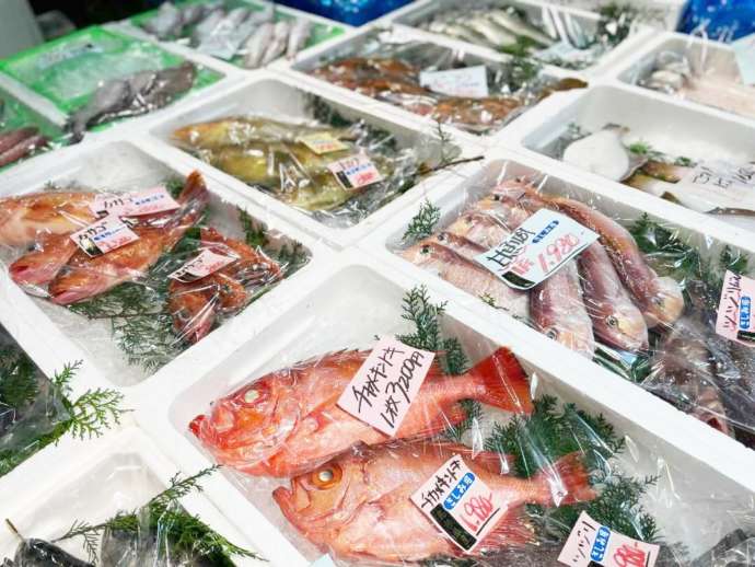 「道の駅 ポート赤碕」内の「赤碕町漁協直売センター」で販売中の鮮魚類（その1）