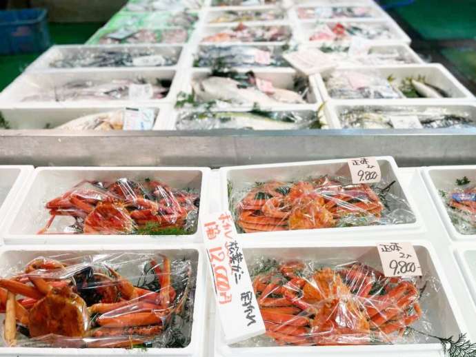 「道の駅 ポート赤碕」内の「赤碕町漁協直売センター」で販売中の鮮魚類（その2）