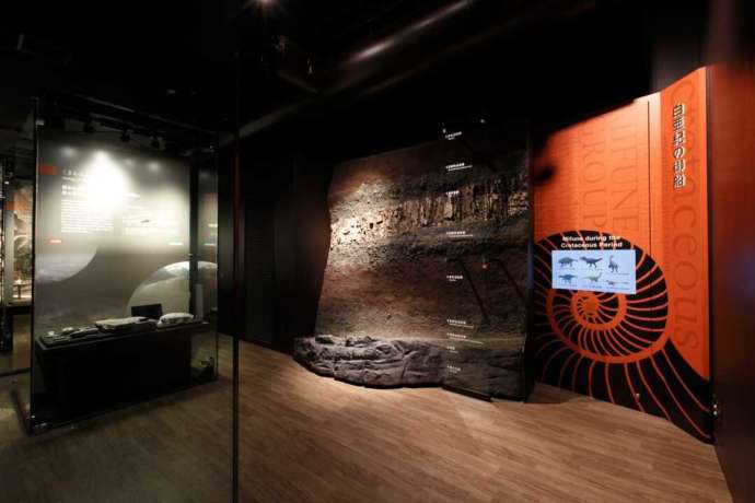 白亜紀の御船の地層を紹介する展示