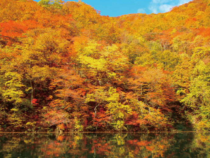 みなかみ町の秋の様子。紅葉が湖に反射している写真