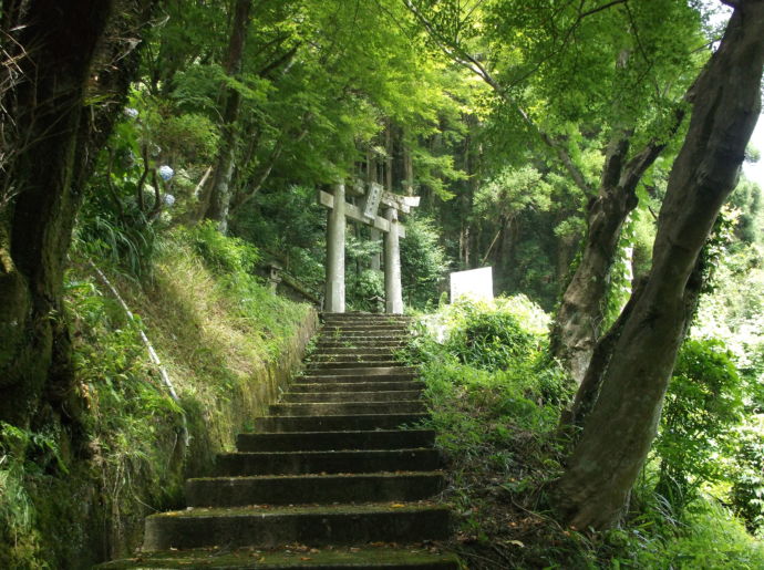 湯の鶴温泉神社の鳥居
