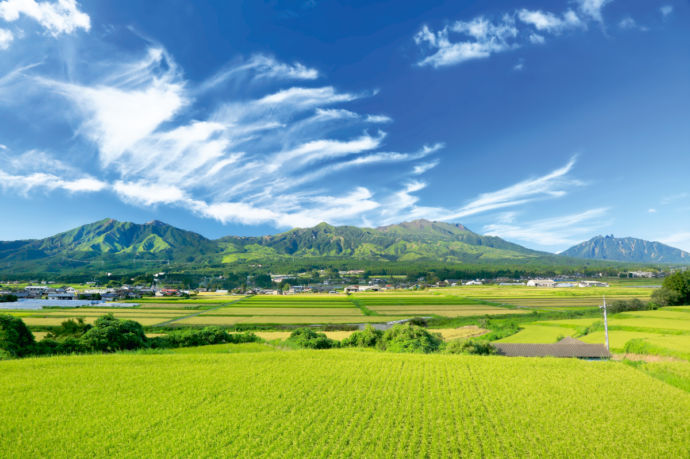 阿蘇五岳と田んぼの風景