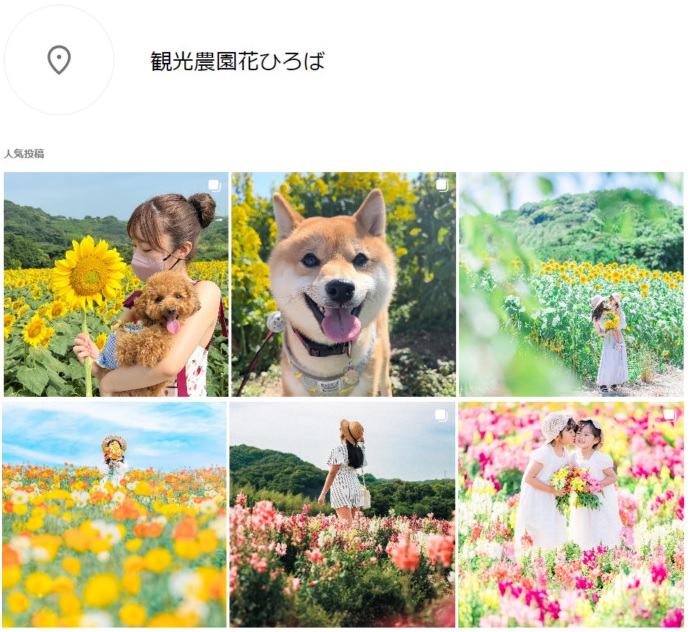 Instagramの「観光農園花ひろば」に投稿された写真